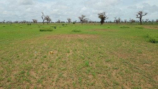 "Vert Nature" -Terrains de 300m² cumulable - Image 1