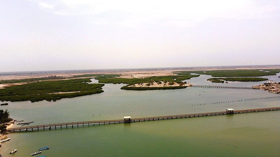 Terrain 1.000 m²  - Pied dans l'eau à Joal - Image 1