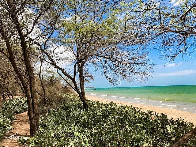 Terrain 300m2 cumulable – à 1,9km de la plage