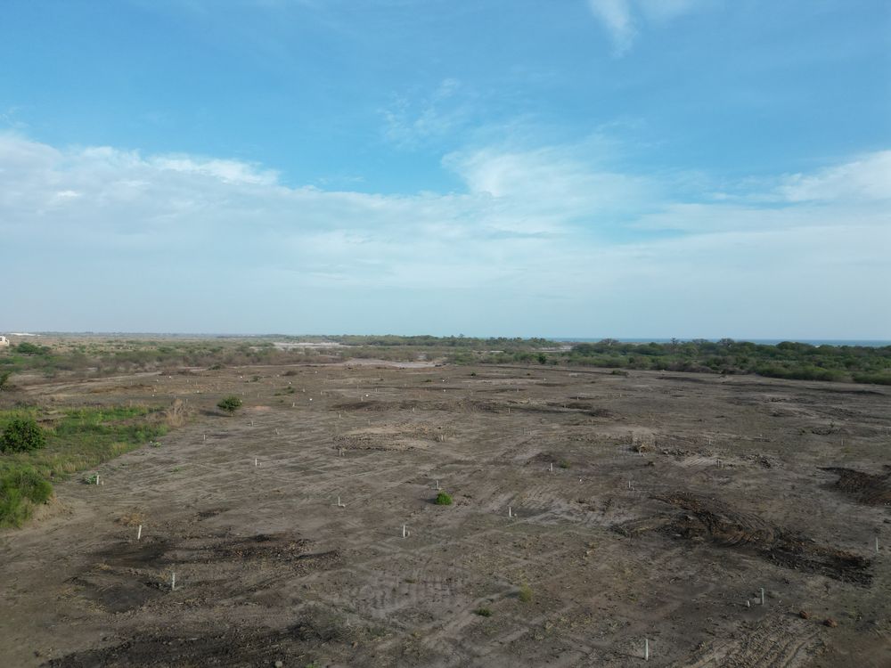  "Rouge Horizon" - 300 m2 cumulable - Image 1