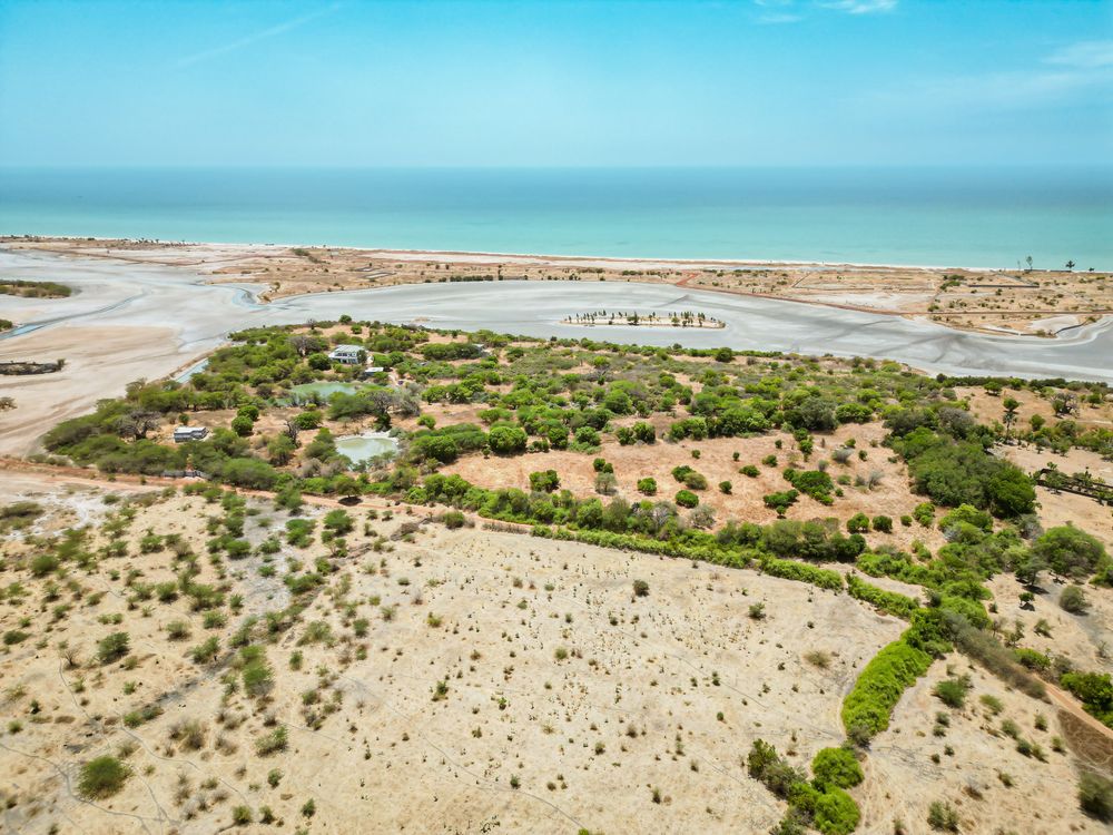 "Rouge Horizon" -Terrains de 300 m2 cumulable - Image 3