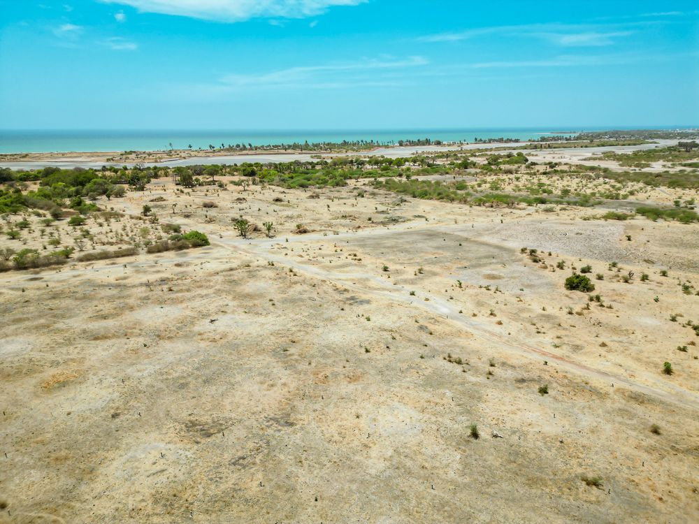 "Rouge Horizon" -Terrains de 300 m2 cumulable - Image 4