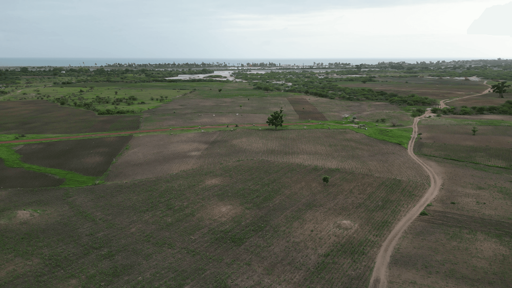 "Vert Nature" -Terrains de 300m² cumulable