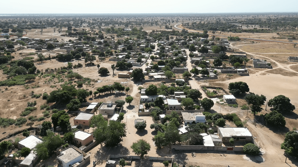 Terrain de 300 m2 Cumulable  – 4 km de la plage - Image 2