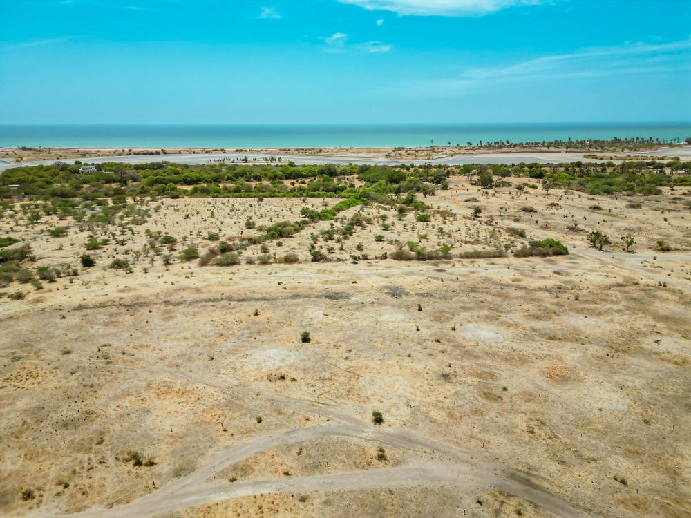 "Rouge Horizon" -Terrains de 300 m2 cumulable - Image 2