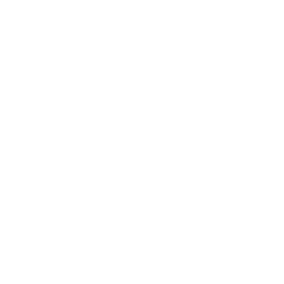 TiktTok